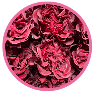 Image is not available