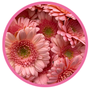 Image is not available